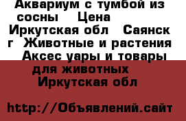 Аквариум с тумбой из сосны. › Цена ­ 15 000 - Иркутская обл., Саянск г. Животные и растения » Аксесcуары и товары для животных   . Иркутская обл.